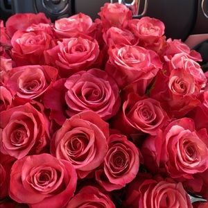 Meet your Posher, Sophia